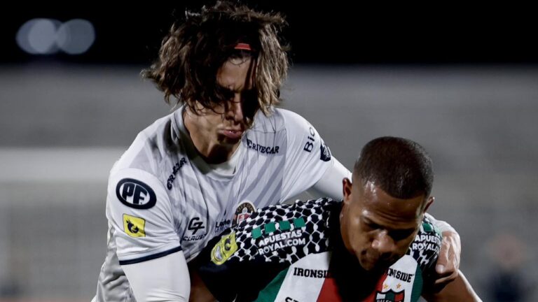 Palestino doblegó a Limache y volvió a los triunfos.